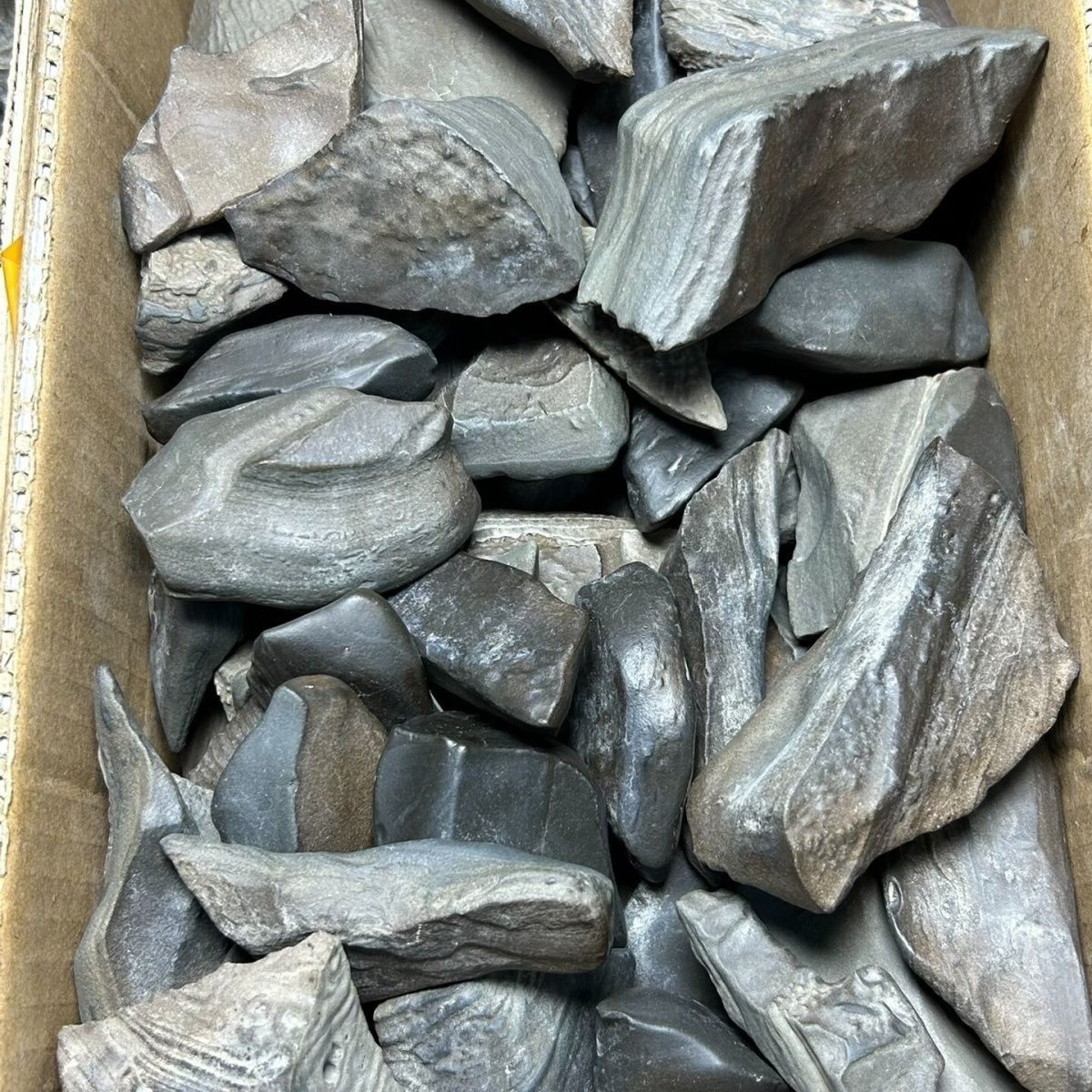 新疆迪坎儿包浆泥石,戈壁石,观赏石,奇石,原石,鱼缸料,盆景等