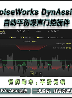 NoiseWorks DynAssist 自动人声乐器响度平衡去噪声齿音混音插件