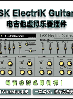 DSK ElectriK GuitarZ 电吉他虚拟乐器编曲音乐制作轻量插件