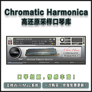 Harmonica Chromatic 高还原采样口琴库康泰克音源 Hein Chris