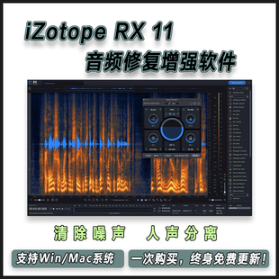 iZotope RX11 RX10 RX9 RX8 人声伴奏分离音频修复降噪混音软插件