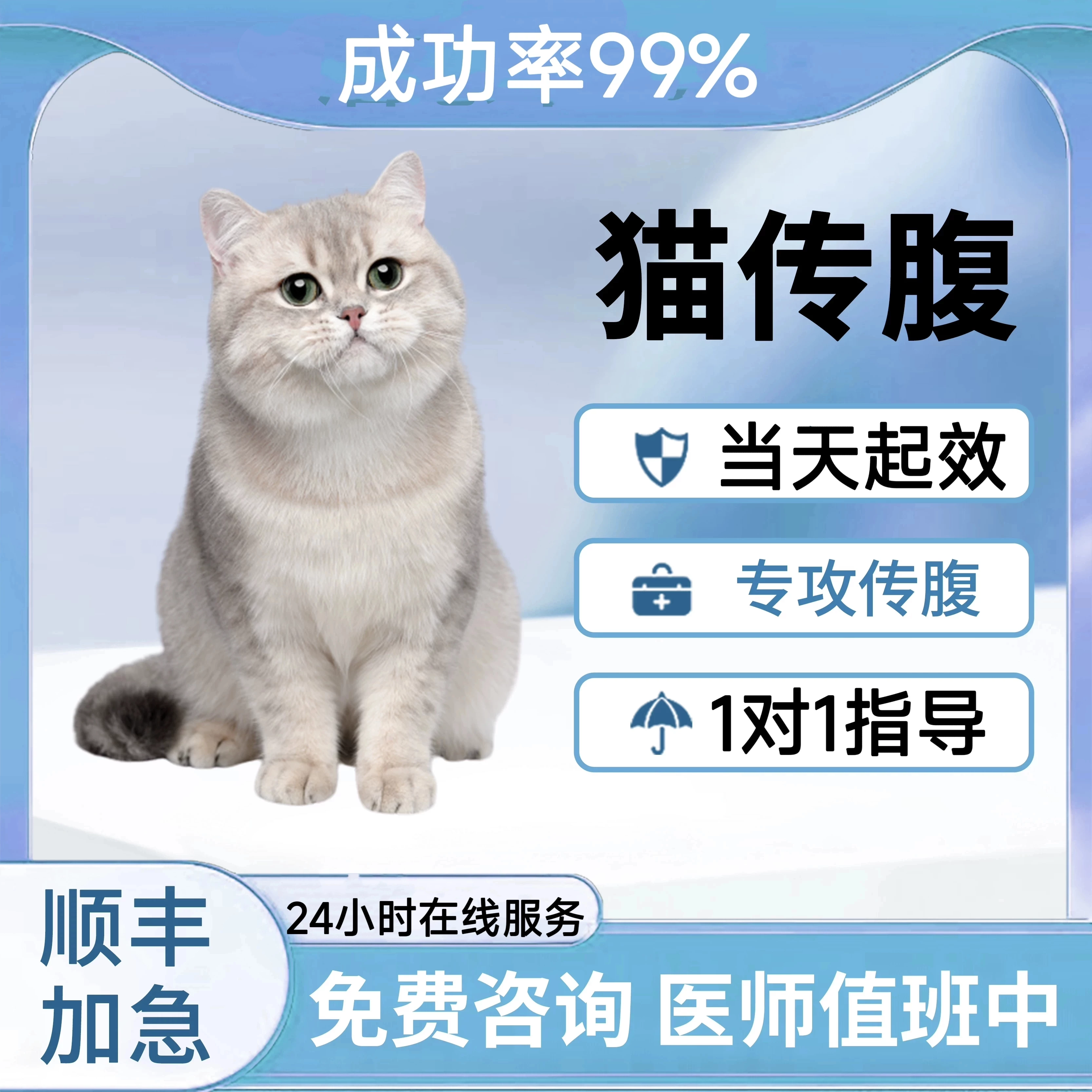 猫传腹针剂片剂喵咪大肚子消腹水湿性抑制剂干性传染性腹膜炎