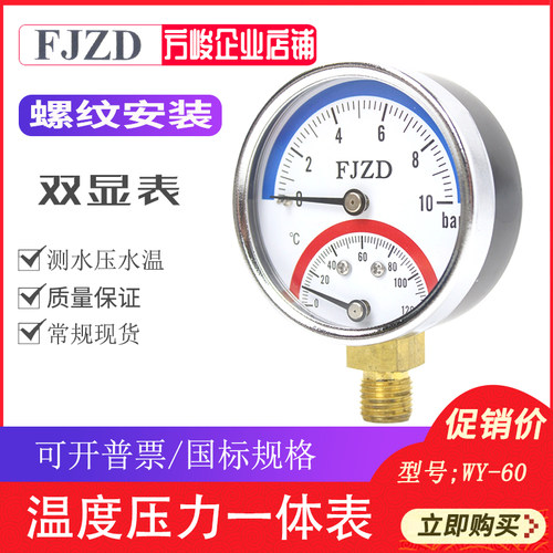 温度压力一体表WY-60双显表
