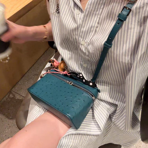 lp19鸵鸟纹真皮饭盒包女包2026新款gigi同款手提盒子包斜挎小包