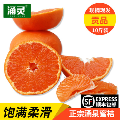 好物推荐贡品级正宗临海涌泉蜜桔