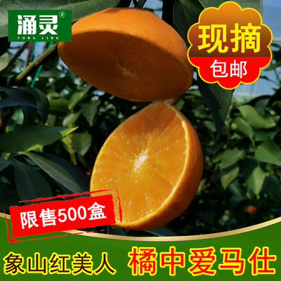 超贡品象山红美人爱媛28号礼盒装