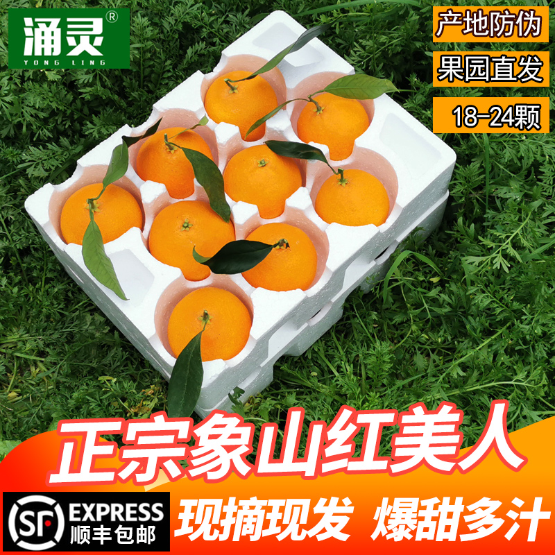 正宗象山红美人爱媛28号桔子整箱