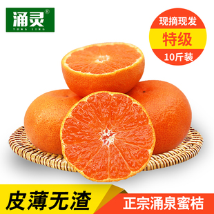 【涌灵】涌泉蜜桔临海蜜橘无核宫川橘子浙江台州新鲜水果整箱10斤