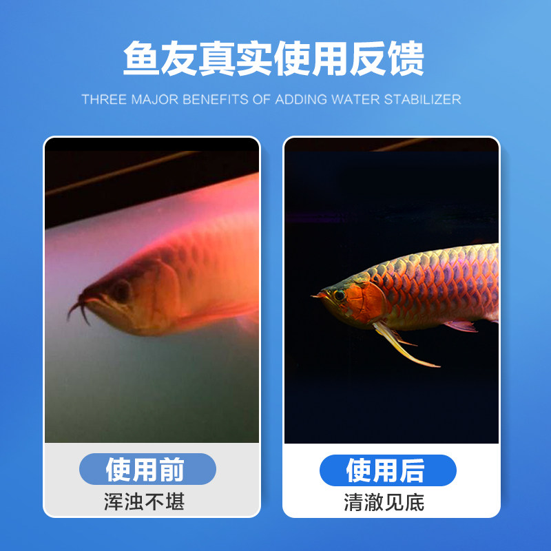 创宁鱼缸过滤材料陶瓷环硝化细菌屋滤材非纳米球石英球鱼缸滤材