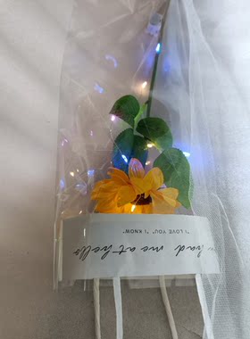 教师节透明玫瑰康乃馨向日葵假花