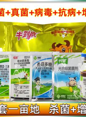 汤普乐牛到底作物增产套餐咪鲜胺乙蒜素香菇多糖细菌真菌病害专用