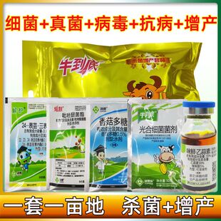 汤普乐牛到底作物增产套餐咪鲜胺乙蒜素香菇多糖细菌真菌病害专用