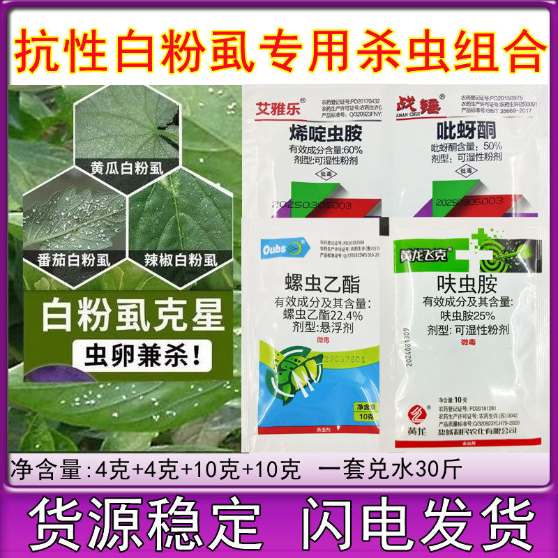 白粉虱专用药 烯啶虫胺吡蚜酮呋虫胺螺虫乙酯西红柿辣椒白粉虱药