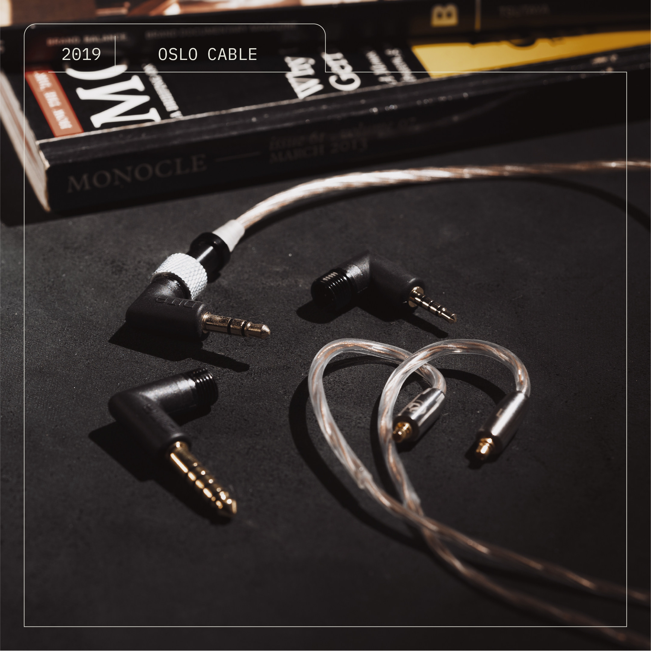 DITA OSLO 金银油浸工艺长结晶无氧铜角鲨烯油耳机升级线  Fltear