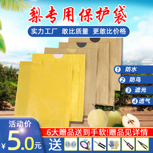 保护纸袋子防鸟水包梨袋 梨子套袋专用袋防鸟防虫袋水果套袋套梨