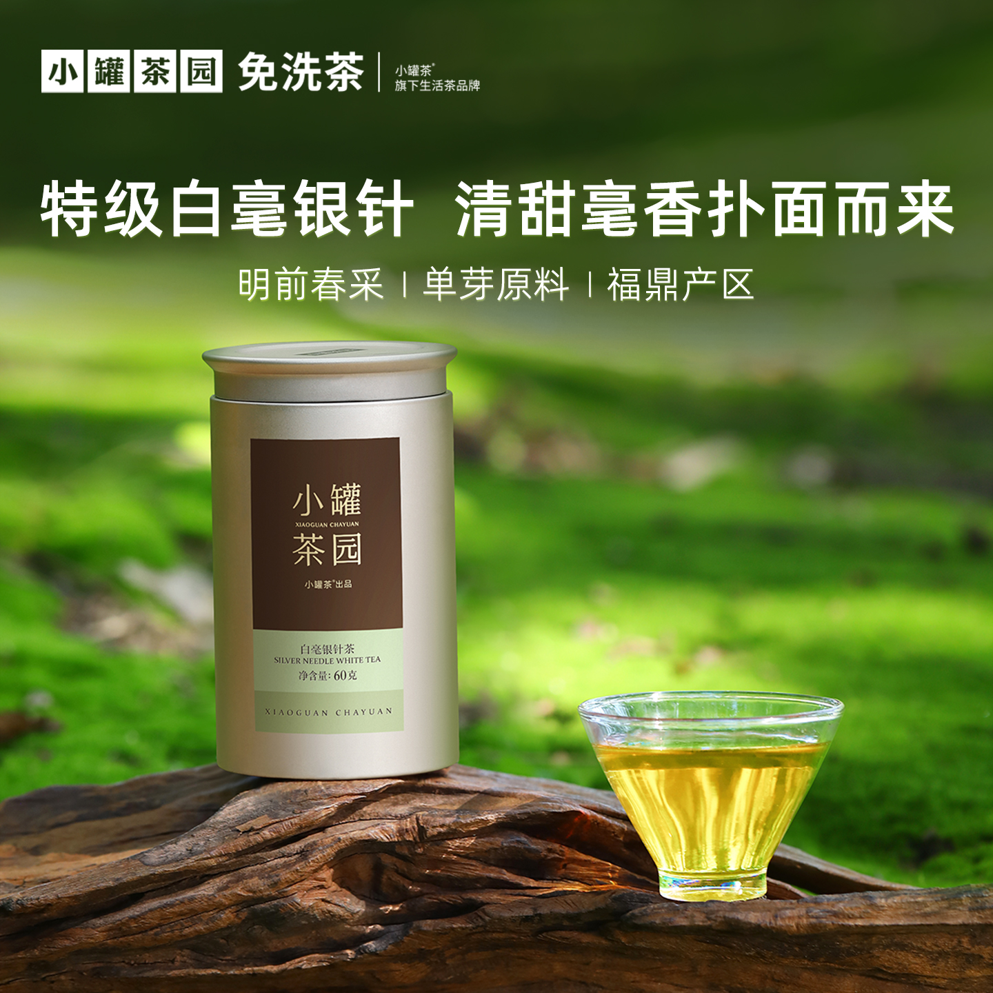 特级白毫银针茶60g大罐装