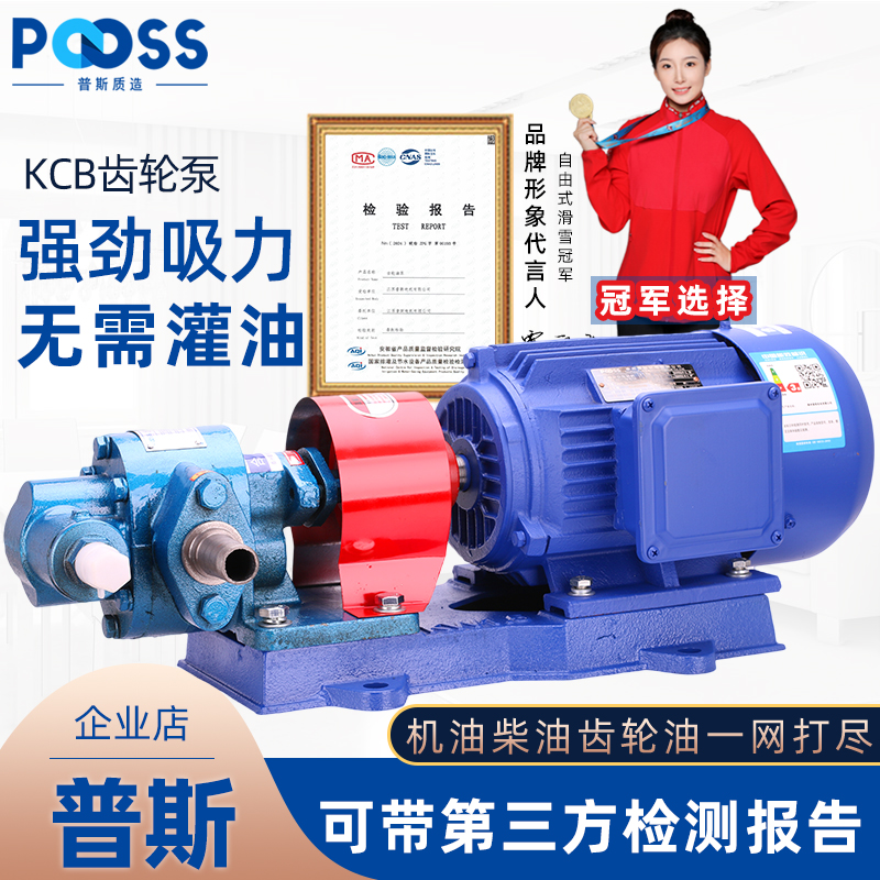 普斯kcb齿轮油泵电机单相220