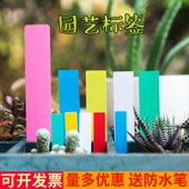园艺插签植物标签花卉记号牌一字牌多肉记号牌标识牌塑料防水书写
