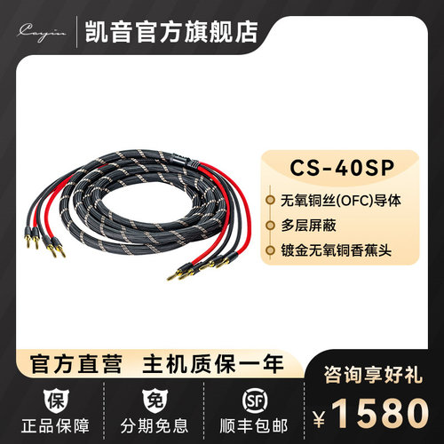 Cayin凯音斯巴克CS-40SP喇叭线