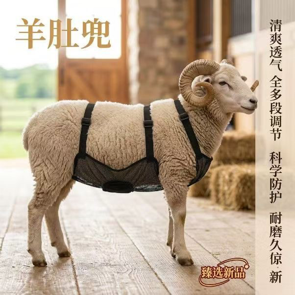 畜牧用品羊肚兜防公羊交配透气网料款肚兜母羊生理肚兜外传防交配