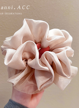 2026新款薄纱大肠发圈女法式高级感后脑勺高马尾发绳皮筋超大头饰