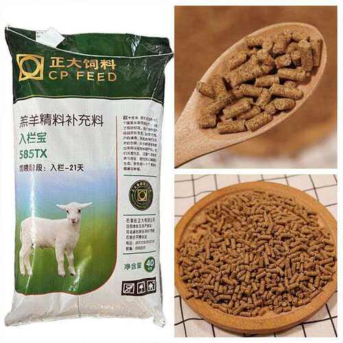 正大饲料羔羊精料补充料入栏宝585TX40kg潮牌畜牧养殖饲料