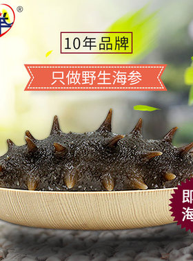 刺参500g礼盒装天然新鲜即食海参