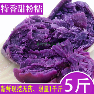 粤西特产农家自种现挖紫薯新鲜紫番薯 紫心地瓜香糯紫山芋5斤包邮