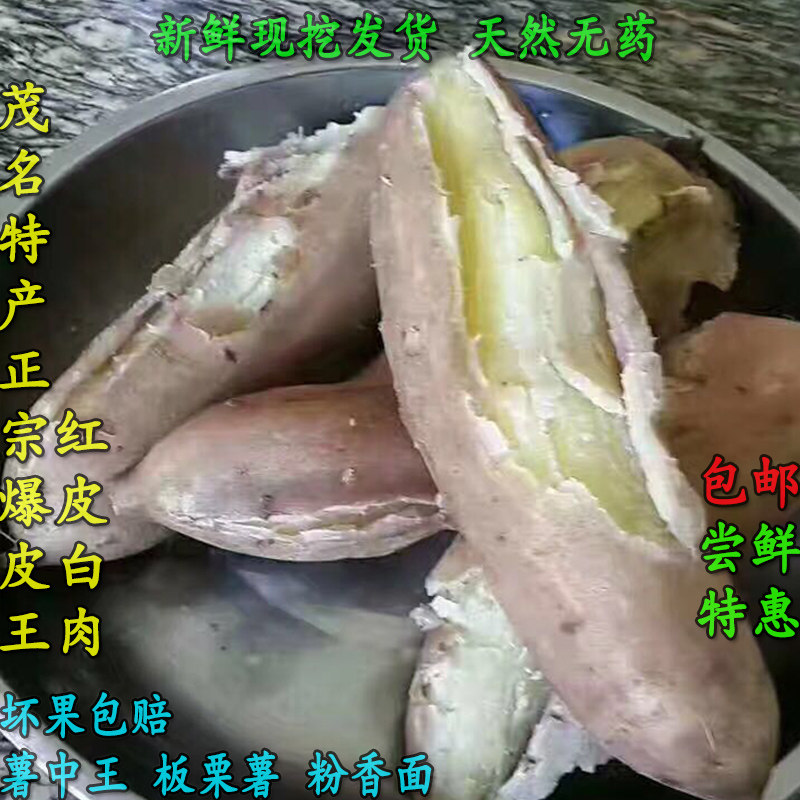 新鲜现挖白心红薯广东白心红薯