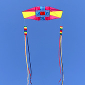 潍坊新款 雷达风筝微风易飞大型成人立体滑翔机树脂杆适合初学新手