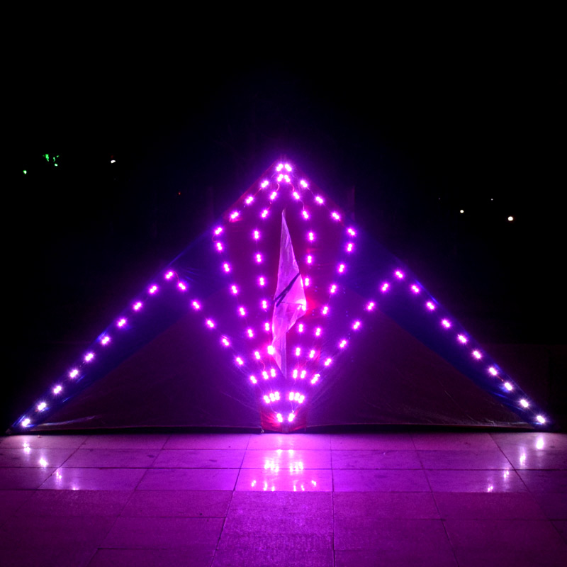 鋰電池王侉子夜光風箏