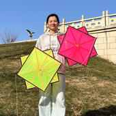 奥月60CM新款 P31伞布微型八卦风筝微风易飞碳杆高端专业级抗大风