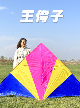 25年新款王侉子风筝微风易飞544软伞布碳杆大型高档成人专业三角