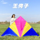 25年新款 王侉子风筝微风易飞544软伞布碳杆大型高档成人专业三角