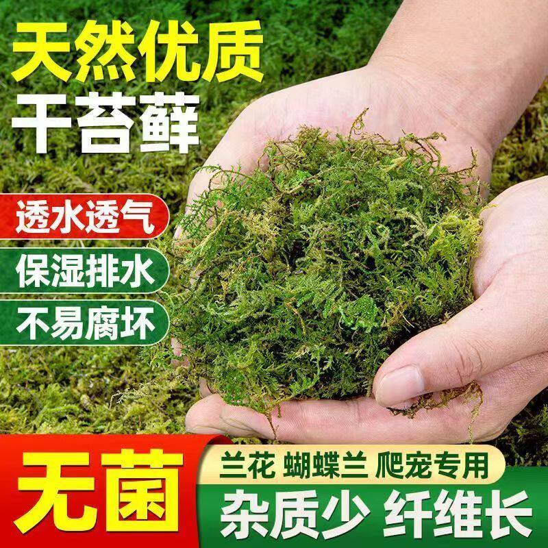 天然优质干苔藓爬宠冬眠椰土搭配
