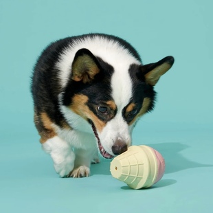 美国BARK响声玩具冰淇淋狗狗发声丰容互动玩具