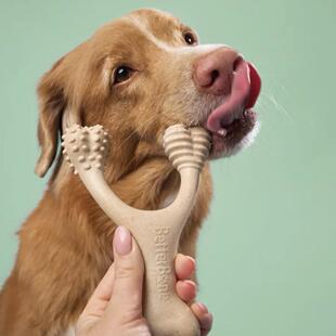 美国Betterbone狗狗磨牙棒中等硬度不含塑料有害物质食物级可消化