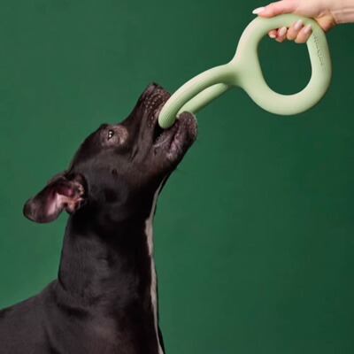 Earthrated狗狗拔河耐咬玩具