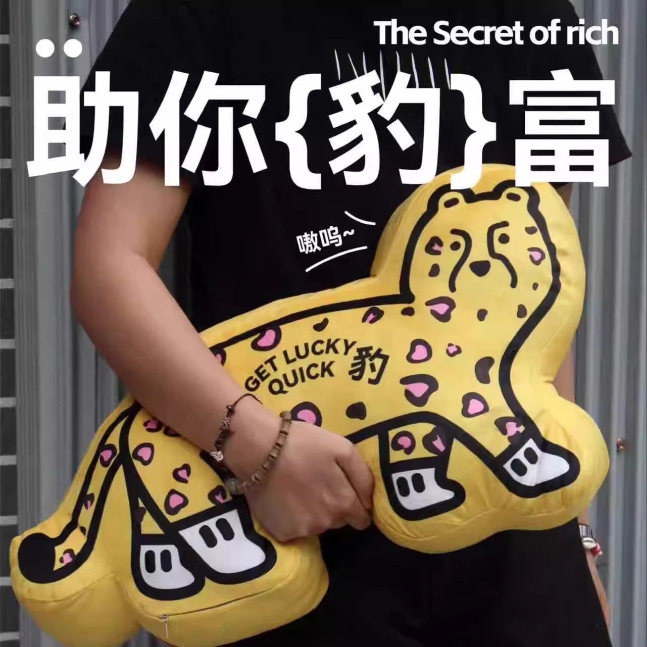 创意搞怪DIY财运系列豹富招财毛绒沙发抱枕办公室客厅印花靠枕垫