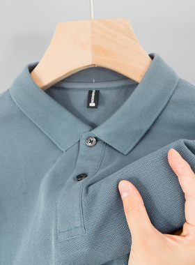 男士短袖T恤冰丝plol中年人保罗poli爸爸夏装polo衫纯棉上衣poor