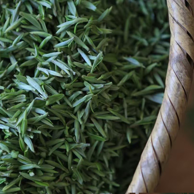 头采茶黄山毛峰春茶上市特级