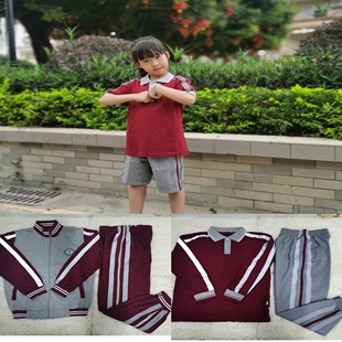 东莞市凤岗镇中心实验镇田雁田端风小学生校服夏秋冬装学生纯棉