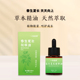 按摩精 草本萃取养护油 春生夏长按摩用 揉腹油