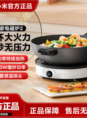 小米电磁炉2家用炒菜锅一体全套米家智能2025新款小型N1超薄官方
