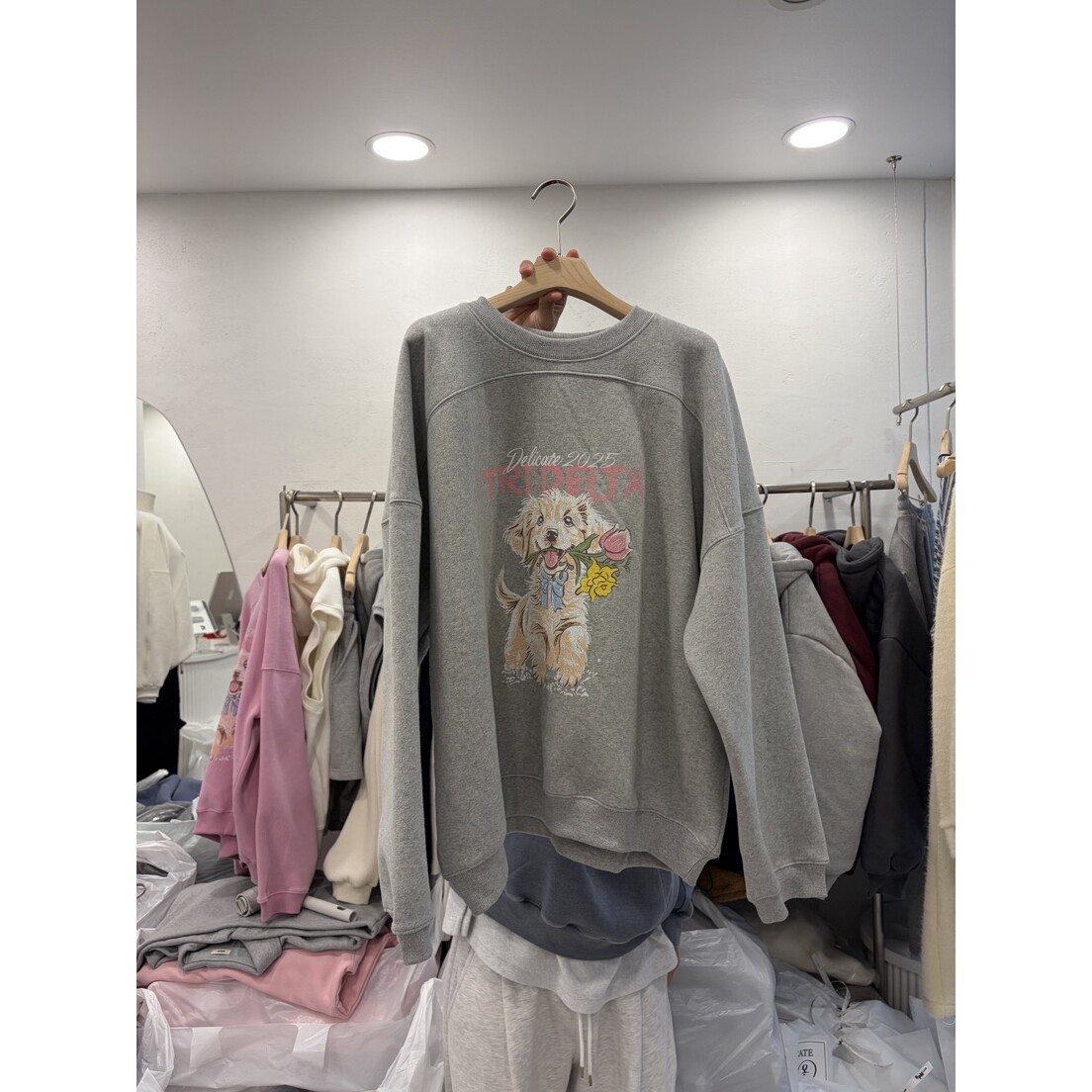 DELICATE东大门㊣直邮女士新品热卖休闲时尚人气真品25秋冬卫衣