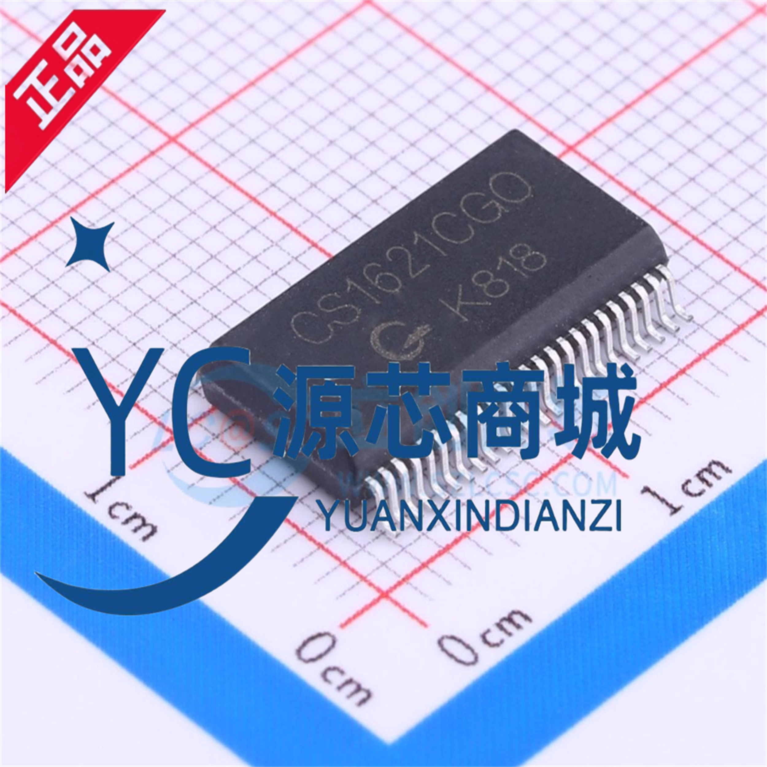 中微爱芯 CS1621CGO 封装SSOP48 LCD驱动存储多功能芯片IC