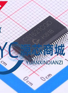 中微爱芯 CS1621CGO 封装SSOP48 LCD驱动存储多功能芯片IC