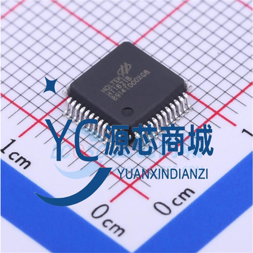 HT1621BLCD控制器芯片I/O