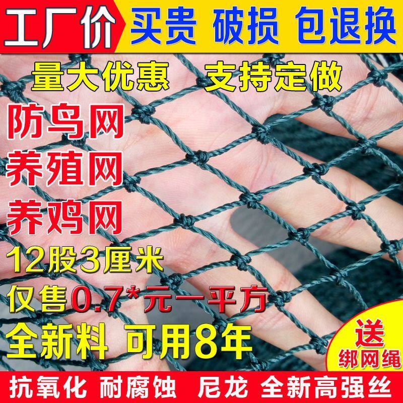 养鸡网拦鸡网围网养殖网菜园围栏网山鸡网尼龙塑料网球场网爬藤网