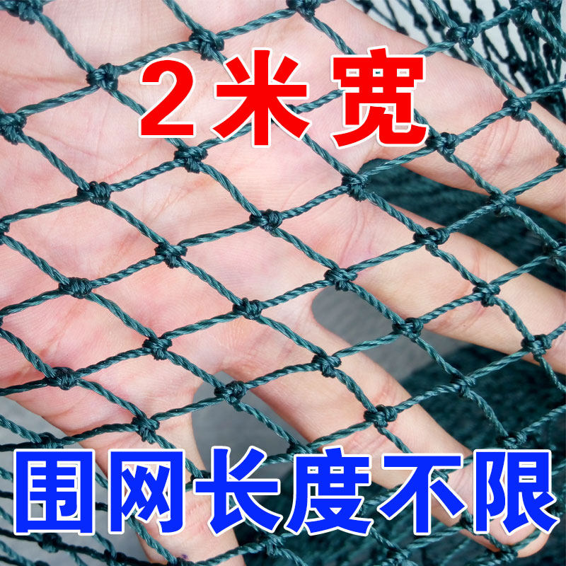 养鸡网围小鸡网家禽养殖网山鸡网尼龙网防鸟网护栏网网格网爬藤网